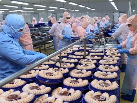 Mỹ không còn là thị trường số 1, thủy sản Việt nên làm gì?