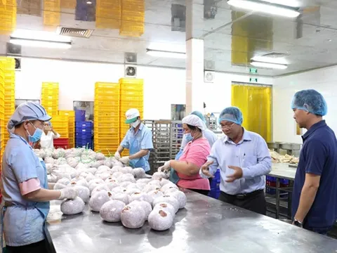 Linh hoạt quy trình nộp thuế hỗ trợ các hộ kinh doanh
