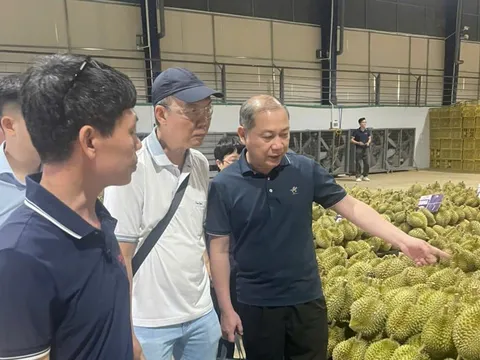 Hải quan Trung Quốc đánh giá cao quy trình xuất khẩu sầu riêng Lâm Đồng