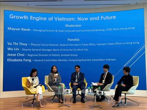 Việt Nam - Động lực tăng trưởng tiếp theo trong ASEAN
