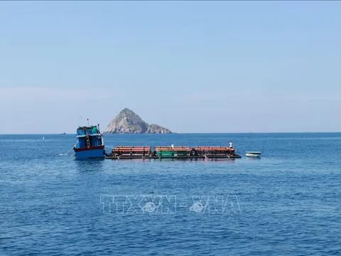 Phát triển kinh tế tư nhân: Động lực mới ở Khánh Hòa