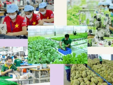 Doanh nghiệp Việt cần làm gì để phát triển bền vững?