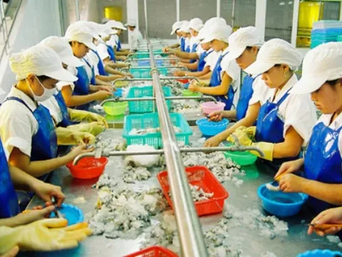 Doanh nghiệp thuỷ sản chỉ ra 7 nhóm vướng mắc lớn của Luật Thuế VAT