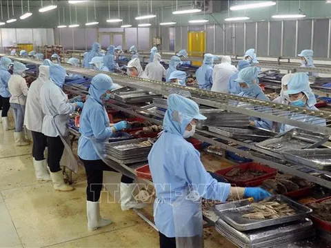 Thuế đối ứng 20%: Sẽ không tạo ra tác động đến dịch chuyển đầu tư