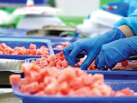 Thuế quan Mỹ định hình lại thị trường cá ngừ, Việt Nam đối mặt thách thức