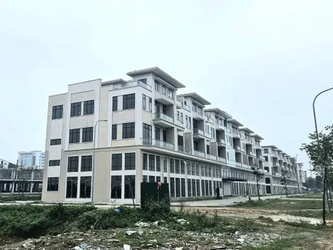 PXA giải trình thế nào khi kinh doanh sa sút và chậm nộp báo cáo tài chính?

