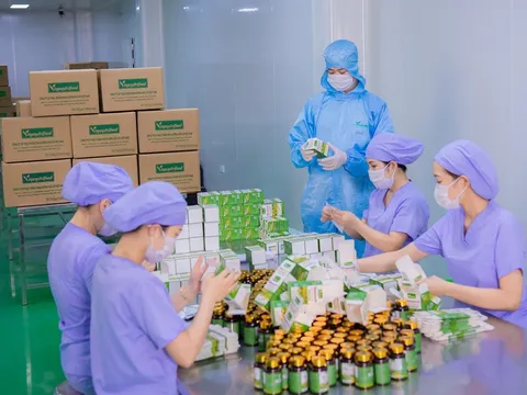 Gia Lai khởi công 2 dự án hơn 5.000 tỷ đồng trong tháng 8