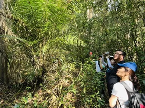 Stress và những hệ lụy sức khỏe: Du lịch chữa lành - Giải pháp phục hồi tinh thần (Bài cuối)