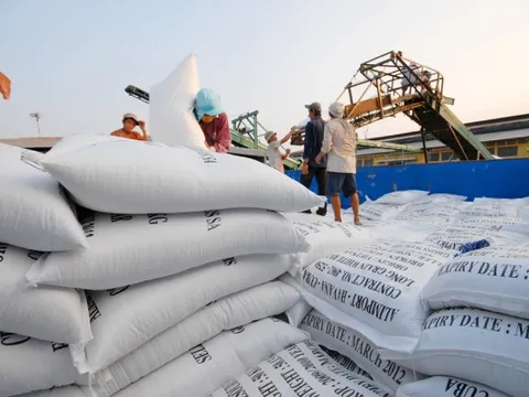 Gạo Việt đối mặt khó khăn lớn