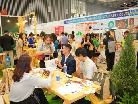 300 'ông lớn' bán lẻ thế giới sắp đổ về Việt Nam: Họ đang tìm kiếm điều gì?