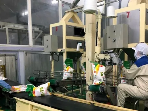 Kỳ vọng xuất khẩu gạo vào thị trường mới