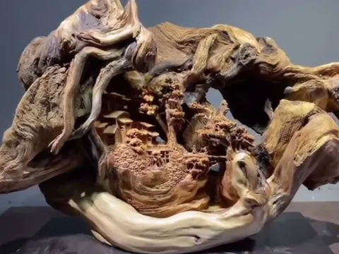 Loại gỗ thân cong kỳ lạ, mùi thơm nghìn năm không phai, đắt đỏ bậc nhất thế giới