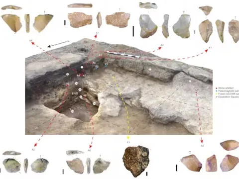 Hé lộ bí ẩn 'người hobbit': Công cụ bằng đá 1 triệu năm tuổi ở Indonesia thách thức mọi giả thuyết