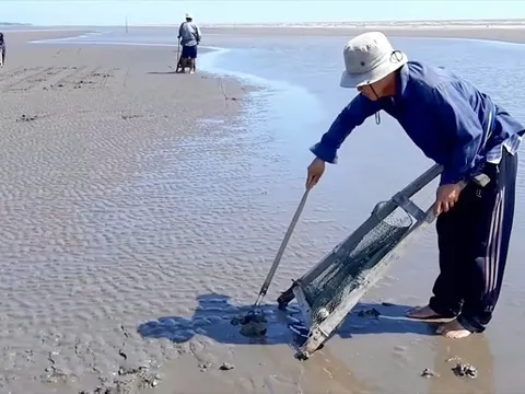 Vĩnh Long lên kế hoạch 'làm chủ kinh tế biển'
