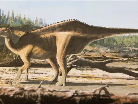 Phát hiện loài khủng long mới với ‘cánh buồm’ kỳ lạ trên lưng