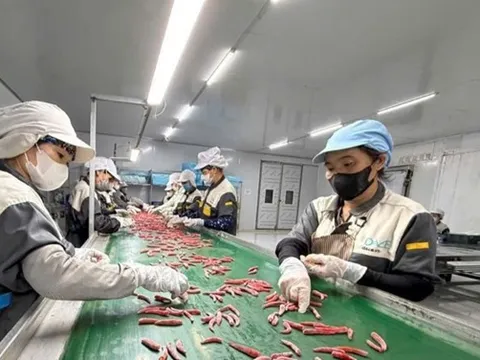 Để kinh tế tư nhân trở thành động lực quan trọng nhất của nền kinh tế