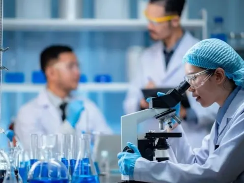 Tiêu chí lựa chọn Tổng công trình sư, Kiến trúc sư trưởng