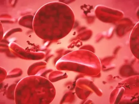 Vì sao con người lại có nhiều nhóm máu khác nhau?