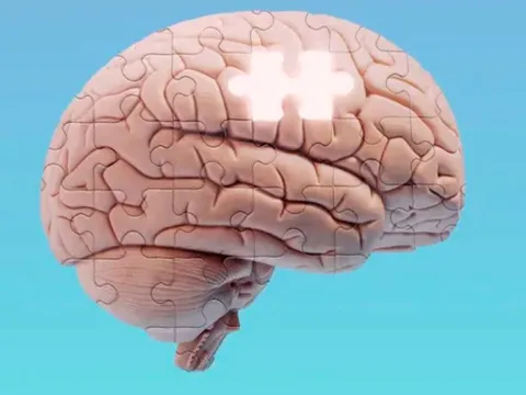 Bộ não con người có thể bị 'hết dung lượng' trí nhớ hay không?