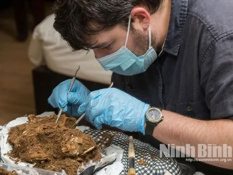 Phát hiện hài cốt 'chiến binh' 13.000 năm tuổi, cao 1m70 ở Tràng An, Ninh Bình