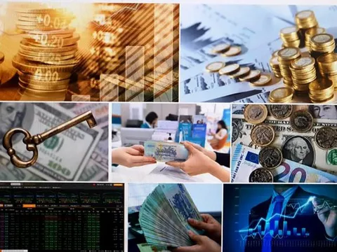 Sở Khoa học và Công nghệ An Giang hỗ trợ doanh nghiệp nâng cao năng suất, chất lượng