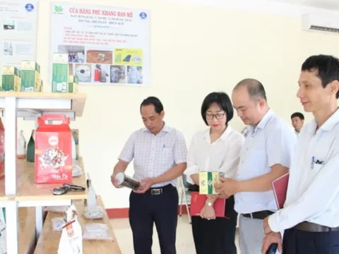 Đắk Lắk hỗ trợ tư vấn doanh nghiệp nhỏ và vừa chuyển giao công nghệ, sở hữu trí tuệ