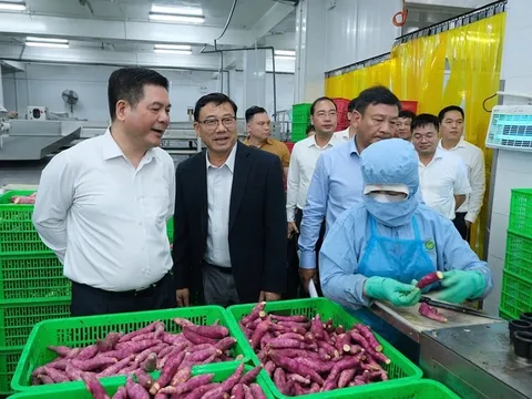 Bộ trưởng Công Thương: Muốn đi xa, doanh nghiệp phải sản xuất sạch và minh bạch nguồn gốc