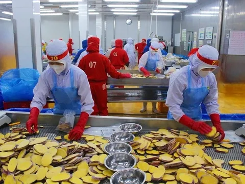 Lâm Đồng: Doanh nghiệp khởi sắc, xuất khẩu bứt phá