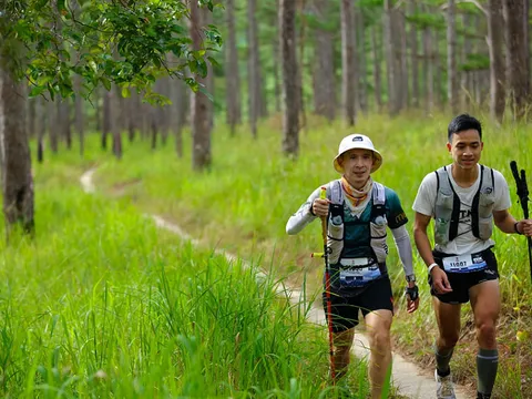 Giải chạy Prenn Trail Summit 2025: Cung đường di sản mở lối ra thế giới
