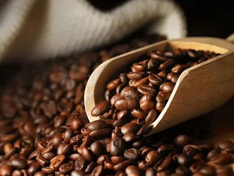 Giá nông sản ngày 18/9/2025: Cà phê, hồ tiêu cùng đi xuống