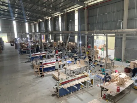 Doanh nghiệp gỗ cần chính sách riêng để 'đứng trên vai người khổng lồ'