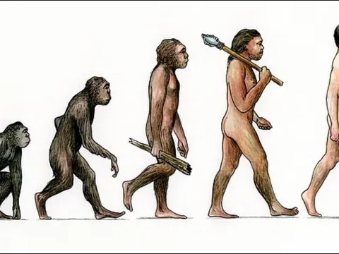 Các nhà khoa học nói gì về khả năng một loài linh trưởng tiến hóa thêm trí tuệ để trở thành người?