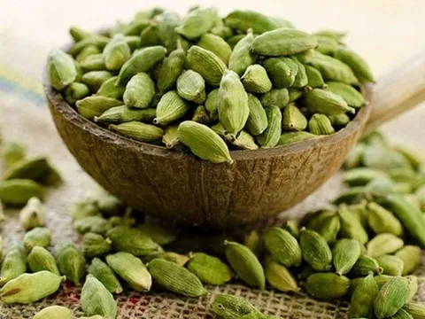 Loại quả được mệnh danh 'nữ hoàng gia vị', giá có thể lên tới 2 triệu đồng/kg, Việt Nam trồng rất nhiều