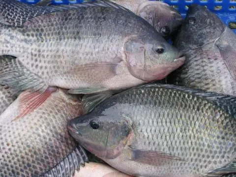 Nguyên liệu món ăn dân dã thành mặt hàng xuất khẩu tăng trưởng 3 con số