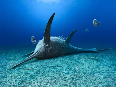 Phát hiện quái vật biển 180 triệu năm nguyên vẹn đến khó tin