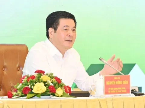 Bỏ tư duy 'rau 2 luống, lợn 2 chuồng' mới bán được hàng