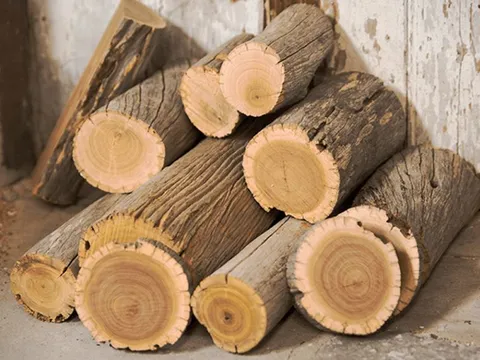 Loại gỗ chứa ‘vàng lỏng’ giá 160 triệu đồng/kg, khan hiếm đến mức không có mà mua