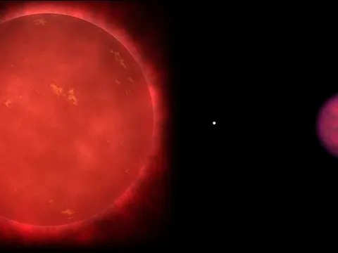 Phát hiện 'dấu ấn sự sống' trên một 'ngôi sao bị hỏng'