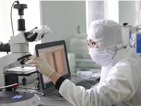 125 đề tài vào chung khảo Giải thưởng Khoa học và công nghệ dành cho sinh viên