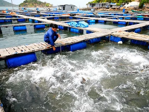 Kiến nghị đưa nông sản về diện không kê khai, tính thuế giá trị gia tăng