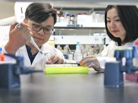Hai nhà khoa học gốc Việt phát hiện bí ẩn hợp chất chống ung thư trong tự nhiên