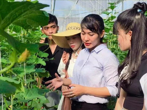 'Trồng dữ liệu' trên những cánh đồng công nghệ