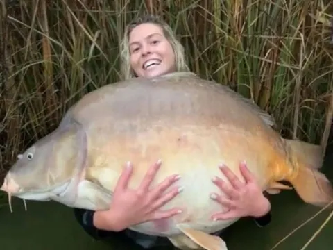 Câu cá giải trí, nữ cần thủ bất ngờ kéo lên con cá chép nặng 41kg