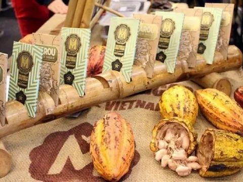 Doanh số tăng vọt 350% nhờ thay đổi bao bì