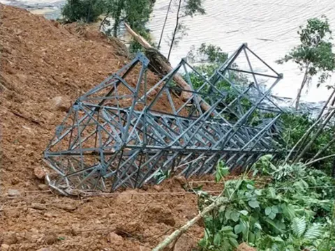 Đà Nẵng: Gãy cột 110kV gây mất điện các xã vùng cao Phước Sơn
